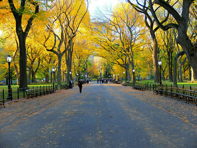 LGA Car service to Central Park