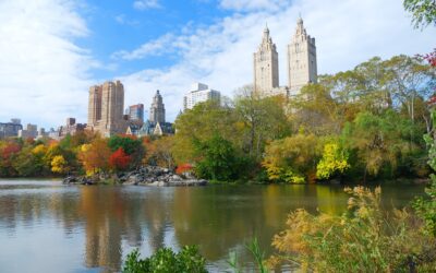 Why Should You Consider Essex Connecticut Limousine Service Provided by Anton Limo?