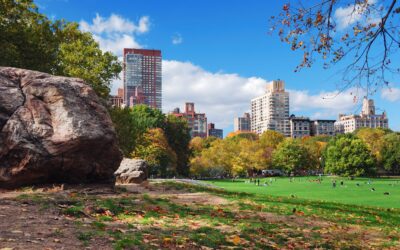 Experience Elegance in Meriden Connecticut Limousine Service Provided by Anton Limo