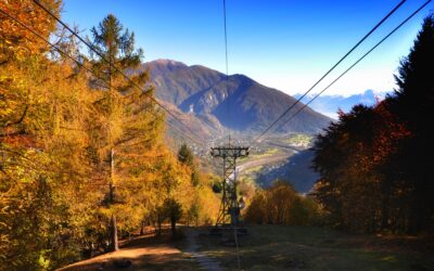 Discover the Beauty of Luxury Limo Services in the Poconos